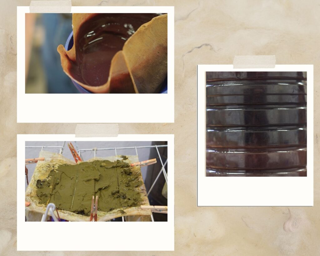 Process of creating plant based pigment