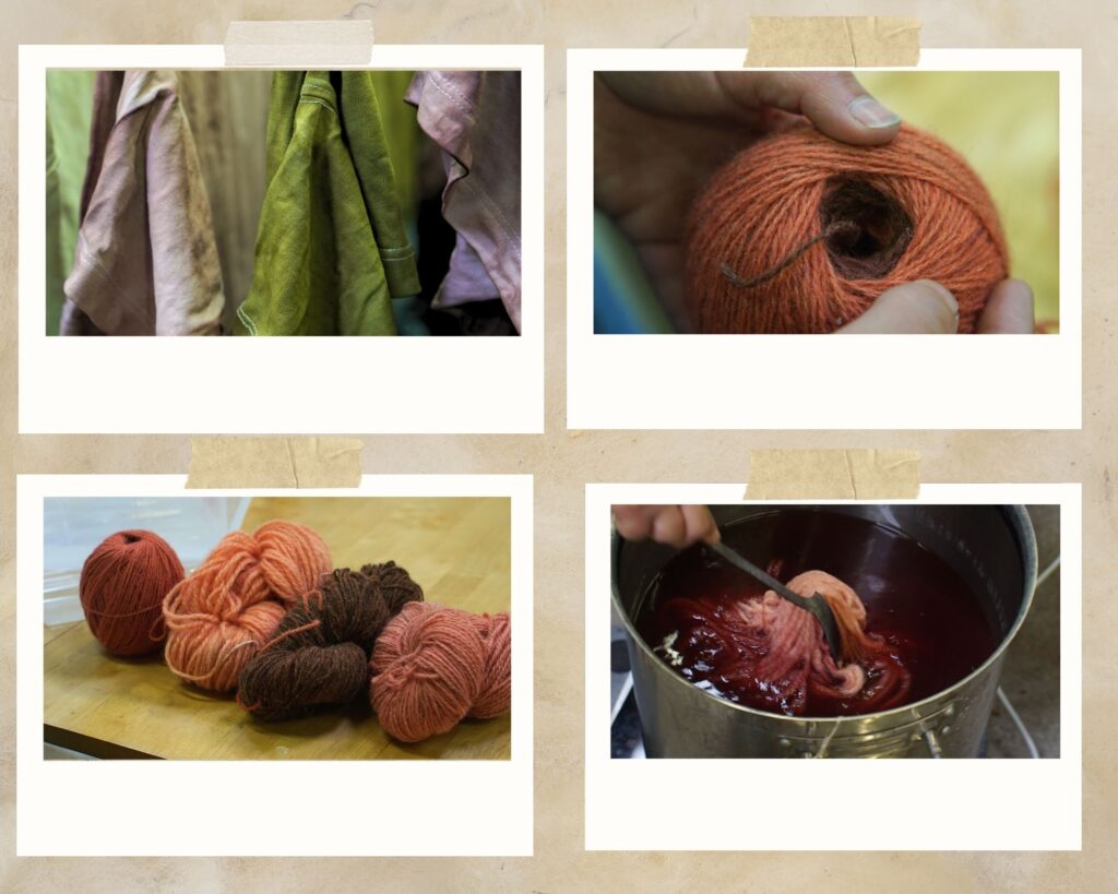 Naturally dyed yarn and t-shirts
