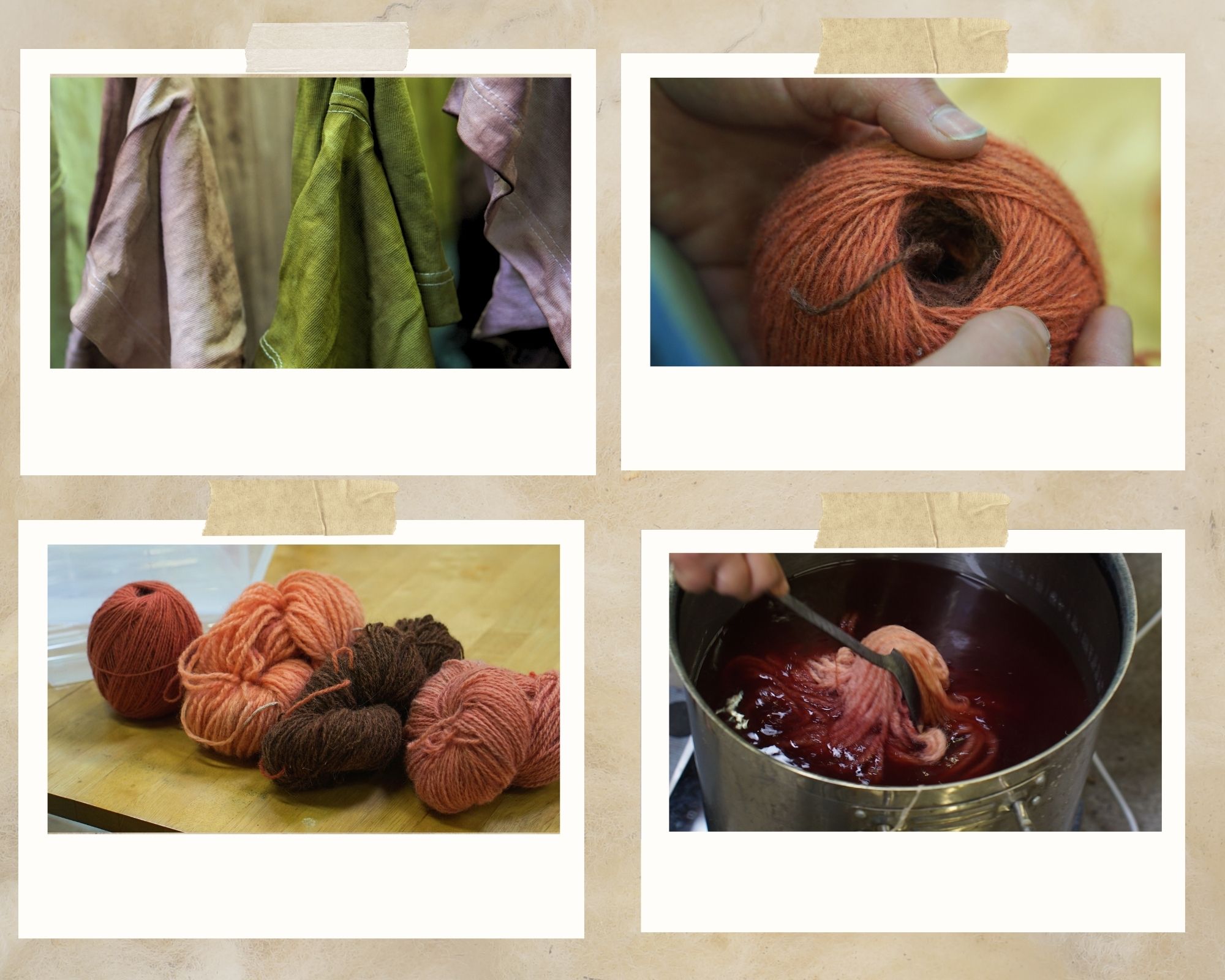 Naturally dyeing yarn and t-shirts in studio